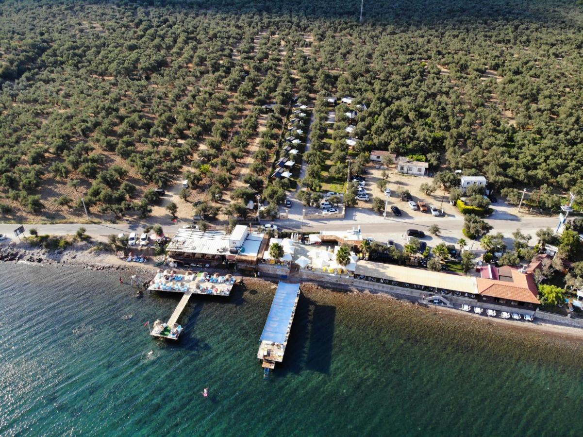 Gulet Tiny House Hotel Ayvacik ภายนอก รูปภาพ