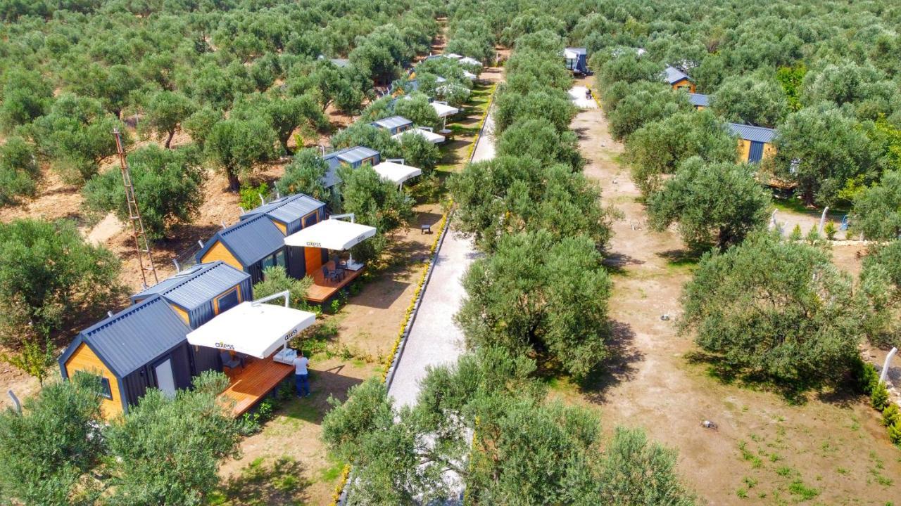 Gulet Tiny House Hotel Ayvacik ภายนอก รูปภาพ